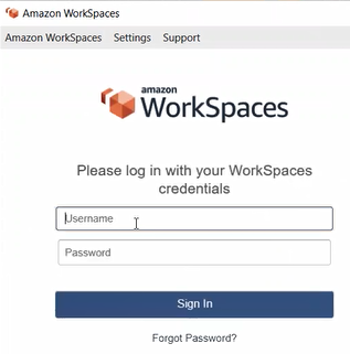 Workspaces Client