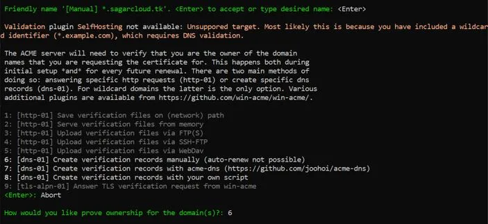 DNS Request Selection for Domain Validation